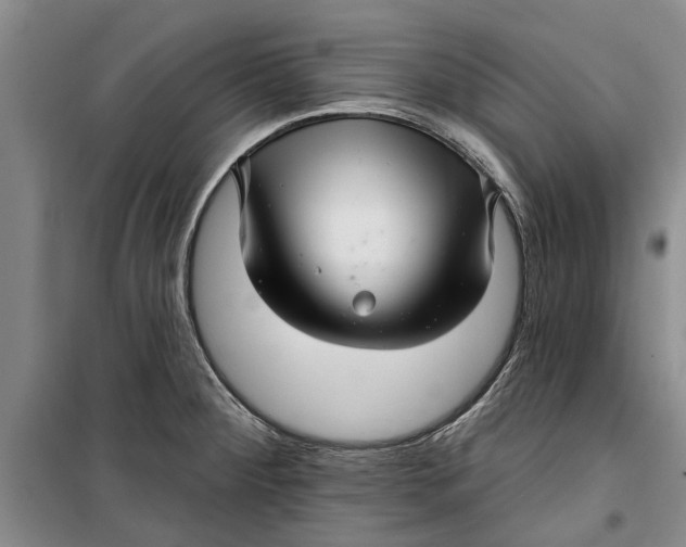 X0000099421284200805301359