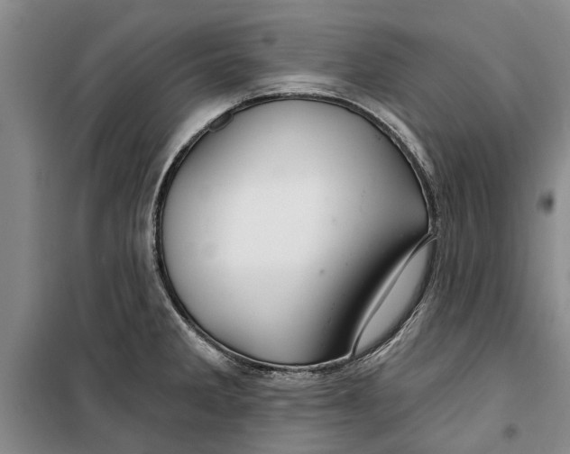X0000099421285200805301359