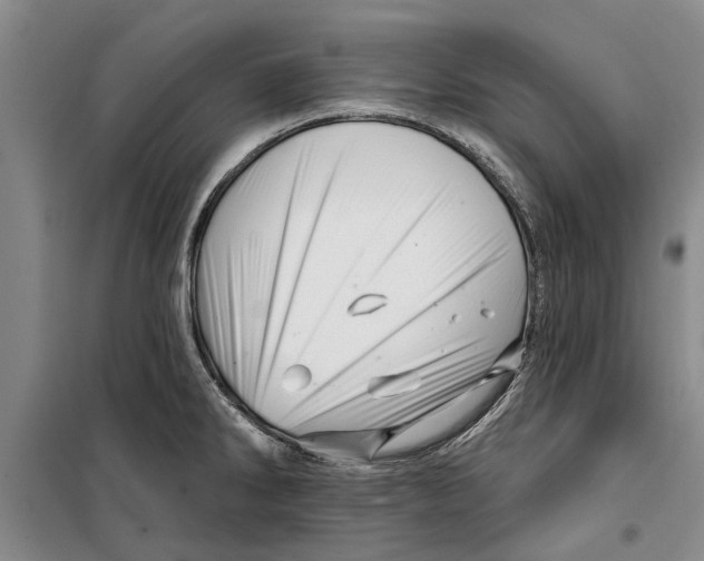 X0000099421286200805301359