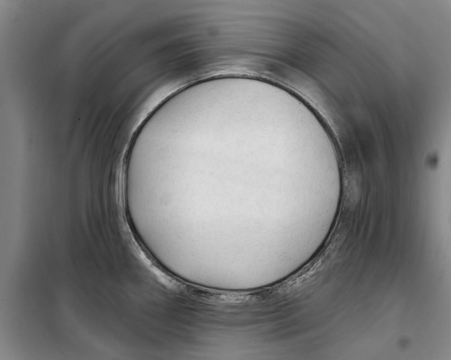 X0000099421290200805301359