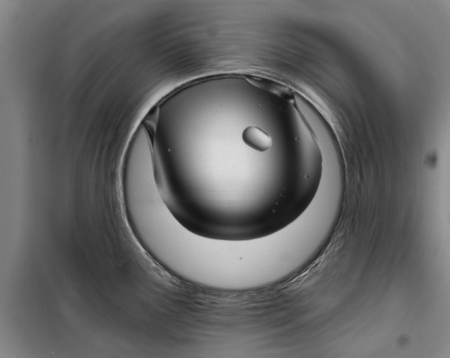X0000099421291200805301359