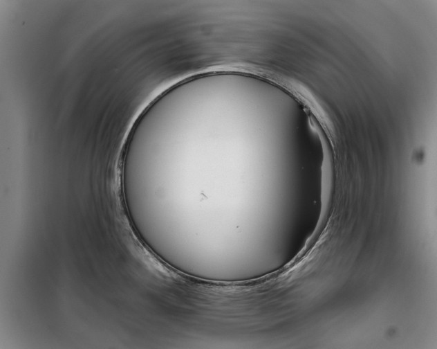 X0000099421292200805301359