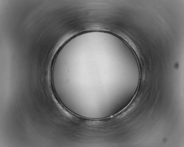 X0000099421293200805301359