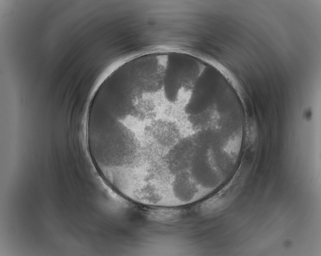 X0000099421294200805301359