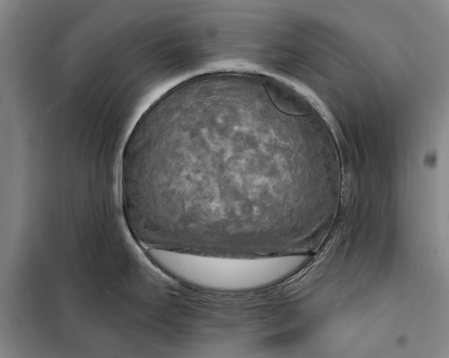 X0000099421295200805301359