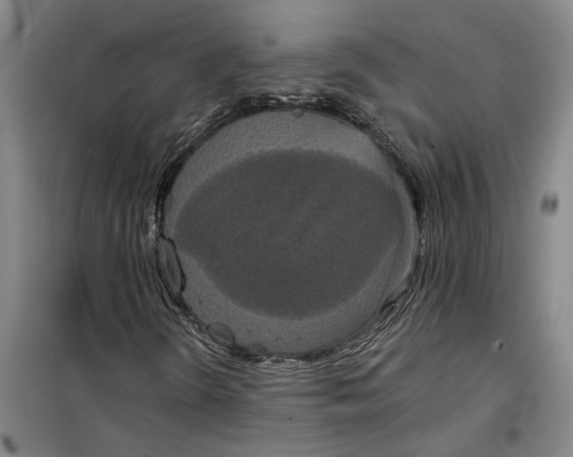 X0000099421298200805301358
