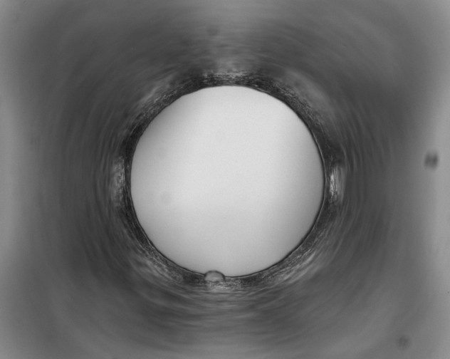 X0000099421299200805301358