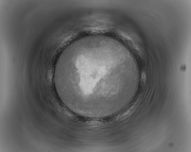X0000099421300200805301358