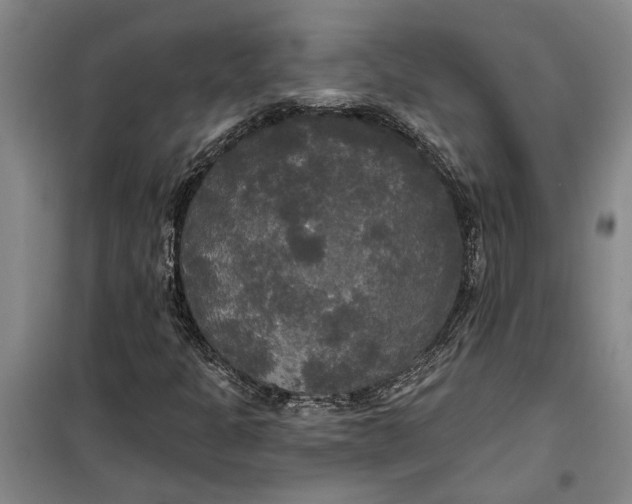 X0000099421301200805301358