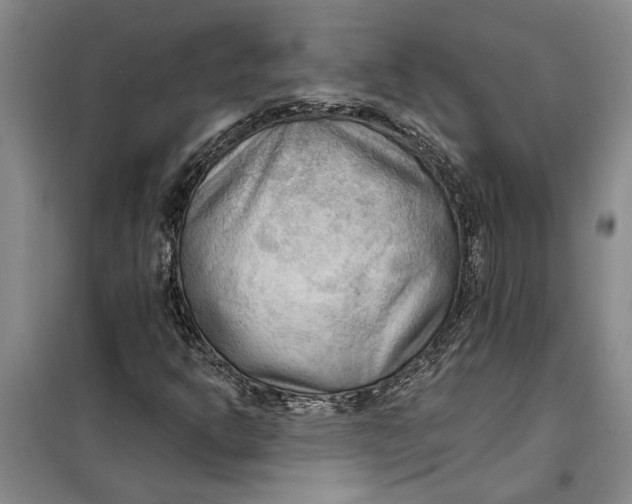 X0000099421302200805301358