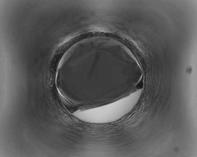 X0000099421303200805301358