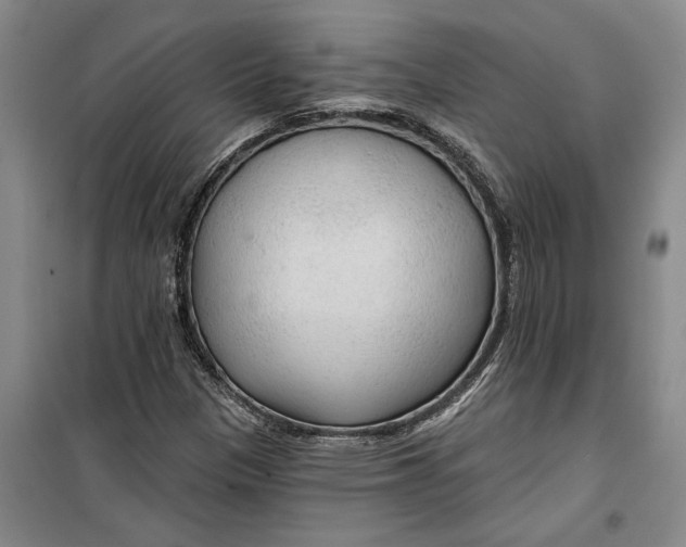 X0000099421305200805301358