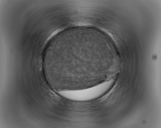 X0000099421306200805301358
