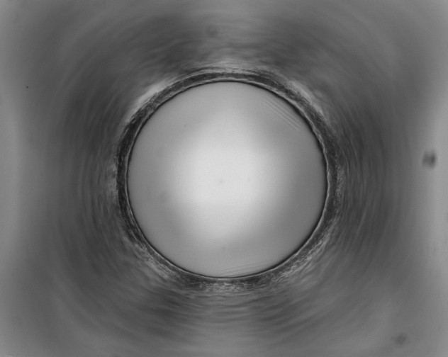 X0000099421307200805301358