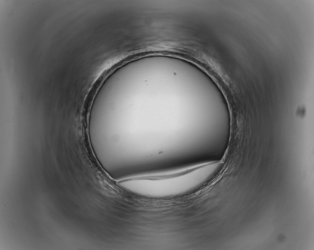 X0000099421308200805301358