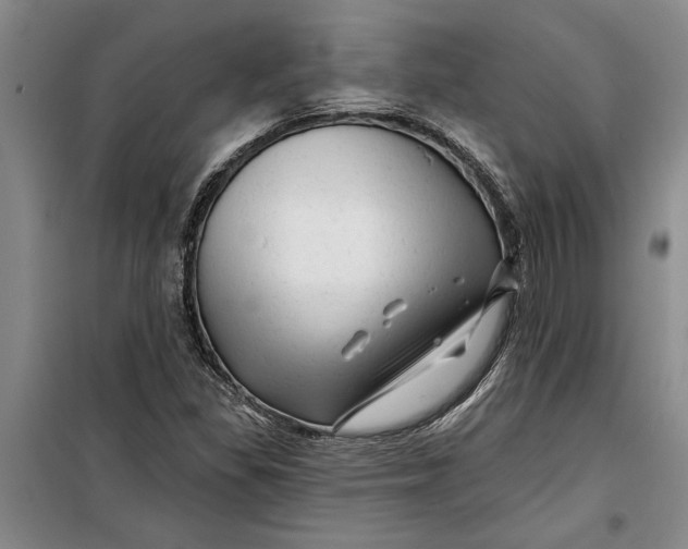 X0000099421309200805301358