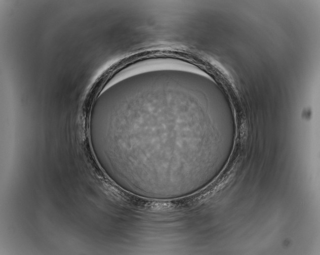 X0000099421310200805301358