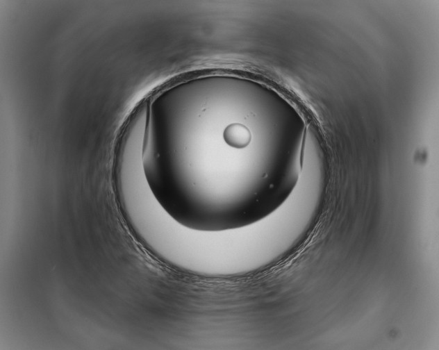 X0000099421312200805301358