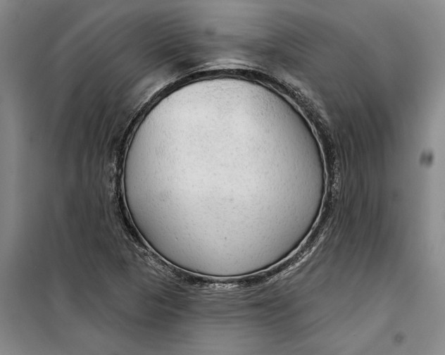 X0000099421313200805301358