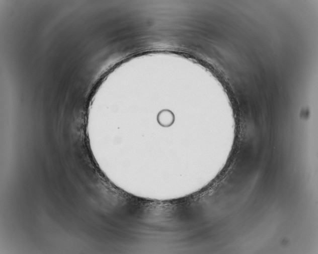 X0000099421314200805301358