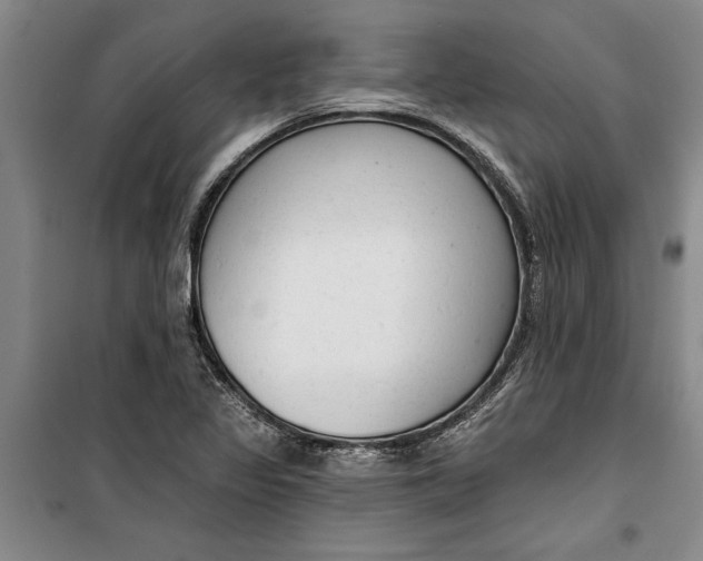 X0000099421317200805301358