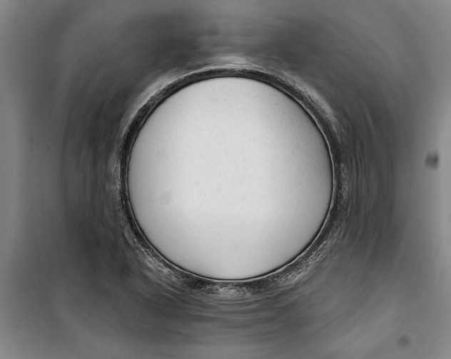 X0000099421318200805301358