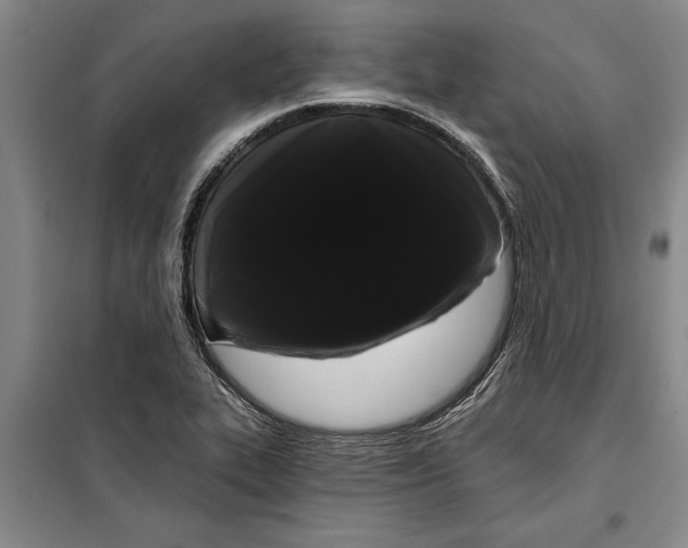 X0000099421319200805301359