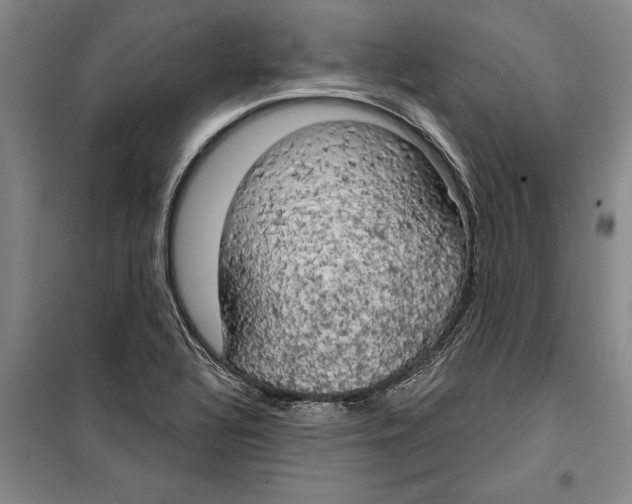 X0000099421320200805301359