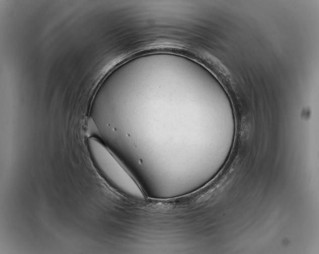 X0000099421321200805301359