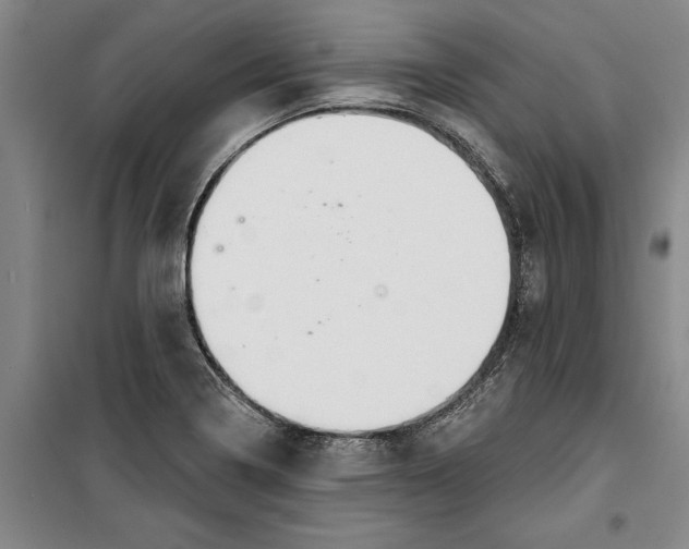 X0000099421322200805301359