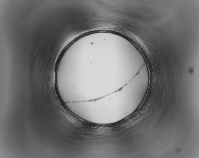 X0000099421324200805301359