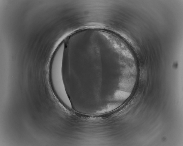 X0000099421325200805301359