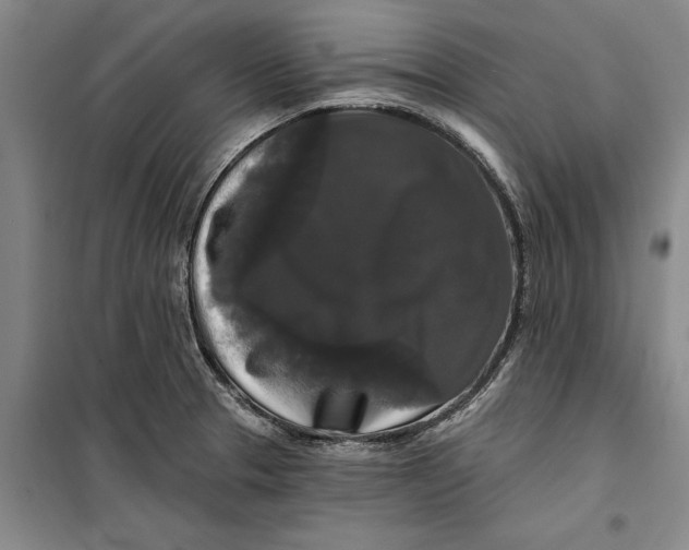 X0000099421329200805301359