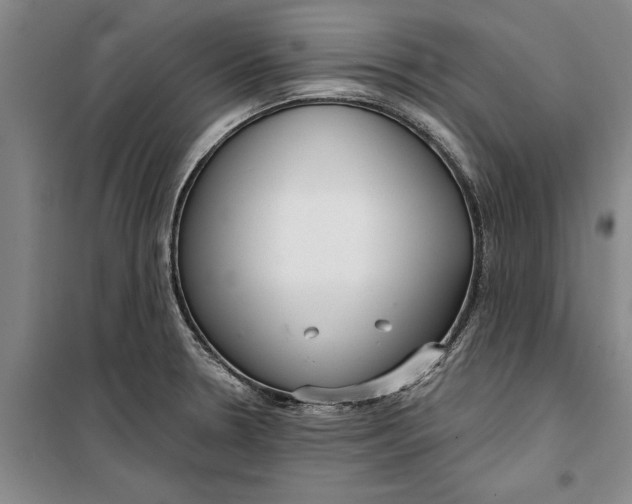 X0000099421330200805301359