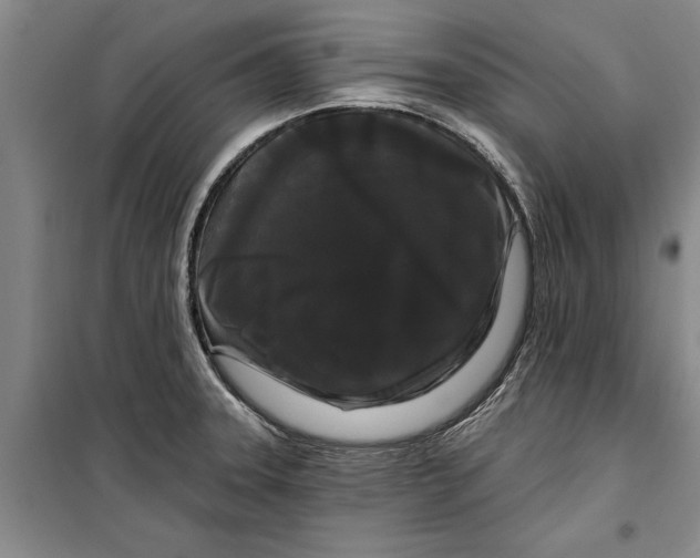 X0000099421331200805301359