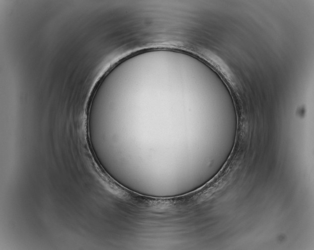 X0000099421332200805301359