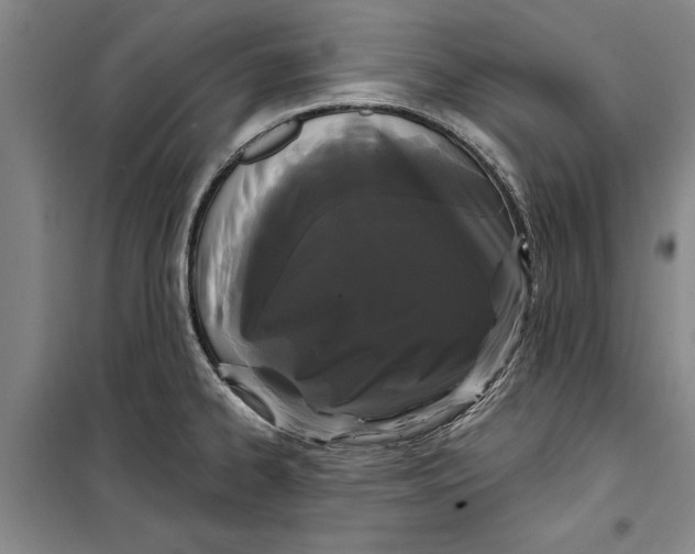 X0000099421334200805301359