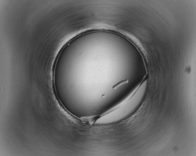 X0000099421335200805301359
