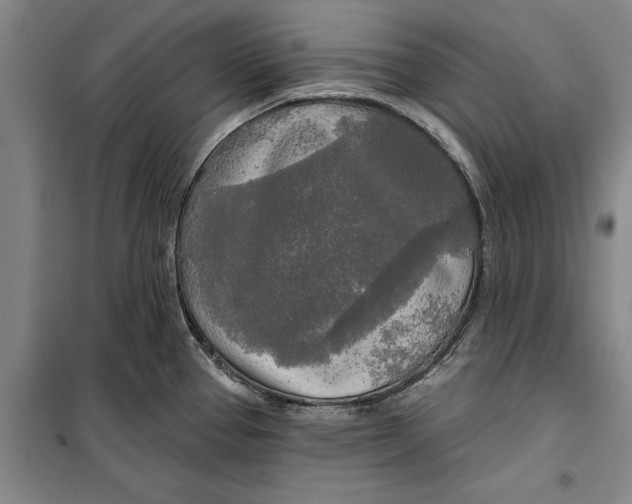 X0000099421337200805301359