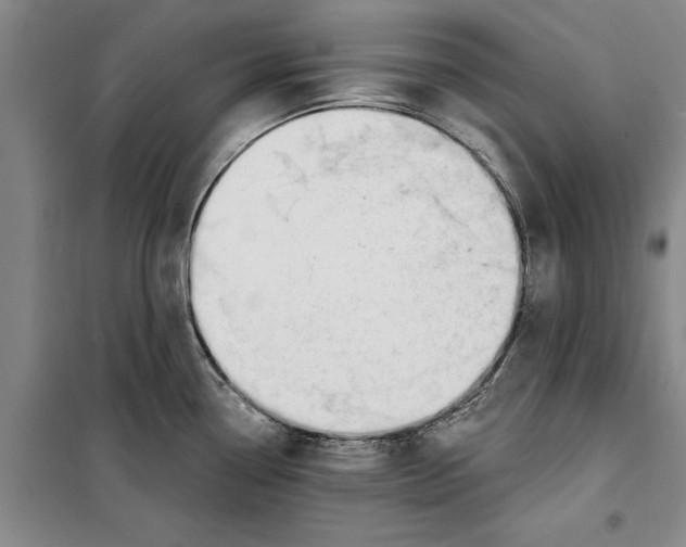 X0000099421338200805301359