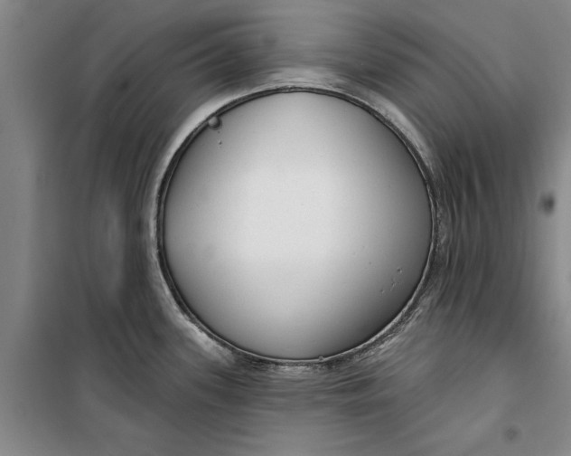 X0000099421339200805301359