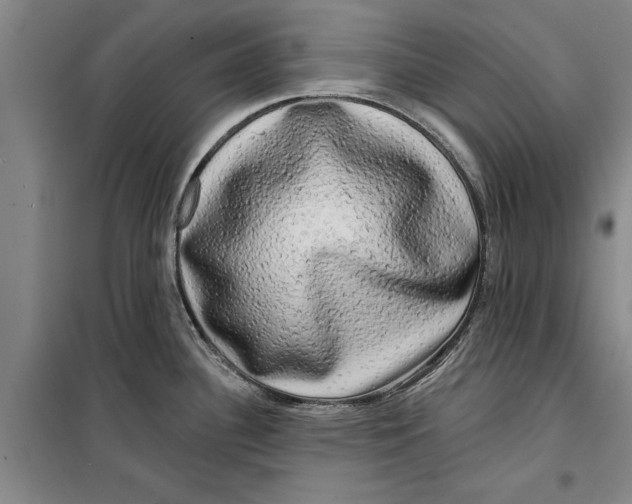 X0000099421340200805301359