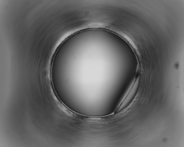 X0000099421342200805301359