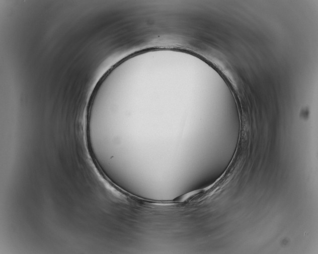 X0000099421343200805301359