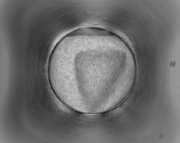 X0000099421344200805301359