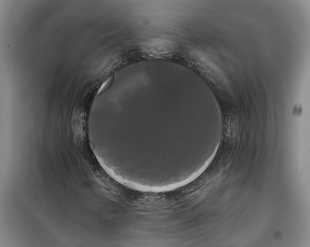 X0000099421346200805301358