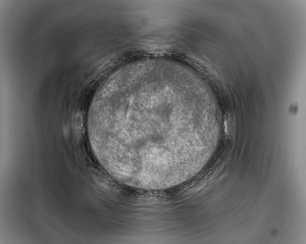 X0000099421347200805301358