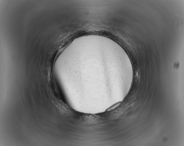 X0000099421348200805301358