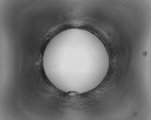 X0000099421349200805301358