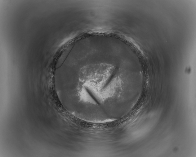 X0000099421350200805301358